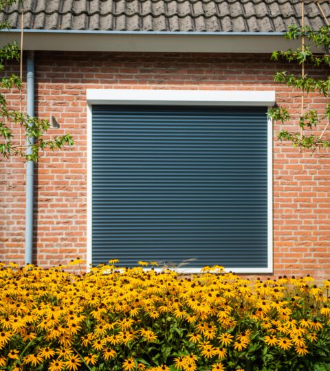 Rolluik wit met blauw